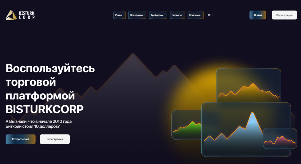 BISTURKCORP (bisturkcorp.com) отзывы 2024